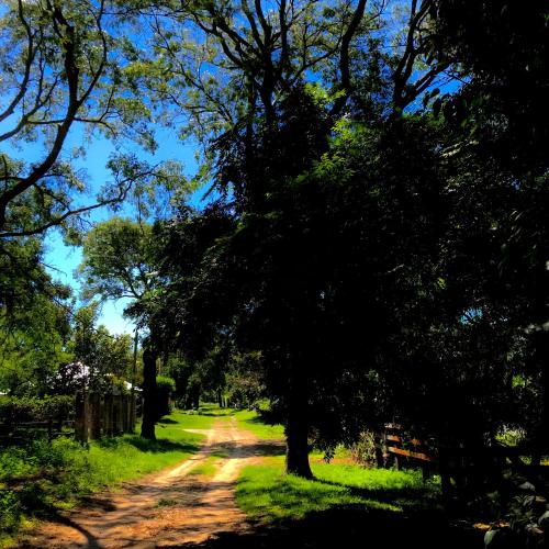 polna droga z drzewami po obu stronach w obiekcie Cabaña Las Moras w mieście San Javier