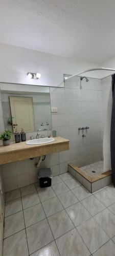 uma casa de banho com um lavatório e um espelho em Departamento en el centro de Mendoza em Mendoza