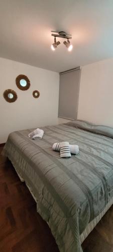 um quarto com uma cama grande com duas almofadas em Departamento en el centro de Mendoza em Mendoza