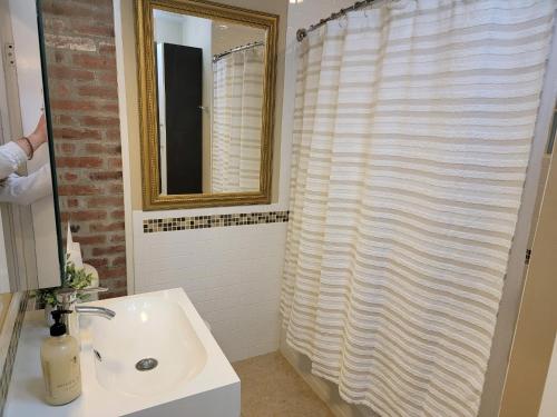 a bathroom with a sink and a shower curtain at The Lincoln House in Salem