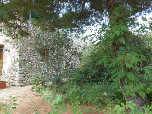 Taman di luar Masseria Serine