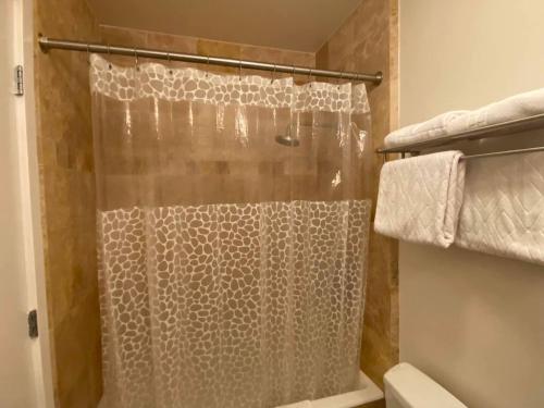 een douche met een douchegordijn in de badkamer bij Modernstylish Nopa Penthouseremote Work Friendly in San Francisco