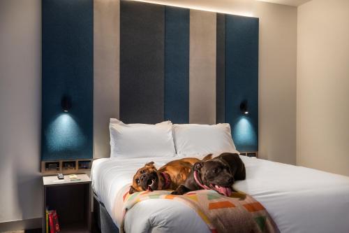 Ink Hotel Melbourne Southbank Image