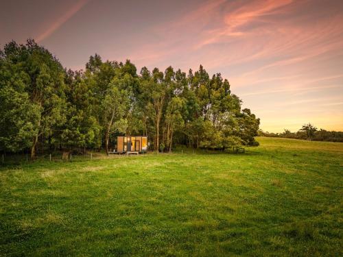 a cabin in the middle of a field with trees at Buffalo Plains Tiny House by Tiny Away in Buffalo