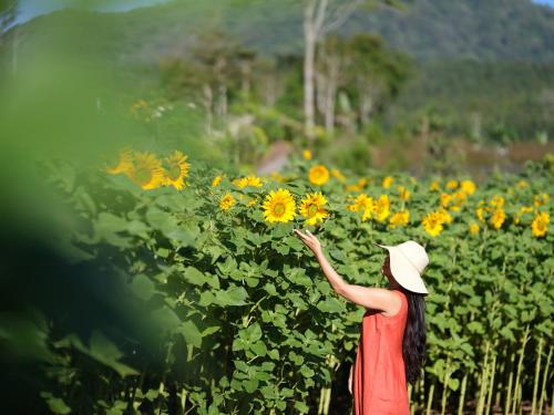 a woman standing in a field of sunflowers at Dusun Bedugul Asri in Bedugul