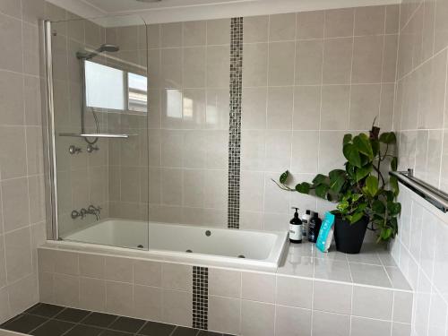 a white bathroom with a tub and a plant at Toowoon Bay - Private Pool - Outside Shower in Long Jetty