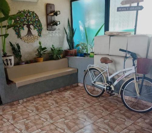 un vélo garé dans une pièce ornée de plantes dans l'établissement Morena´Home, à Don Torcuato