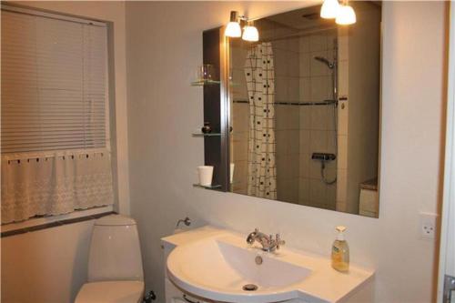 ein Badezimmer mit einem Waschbecken, einem WC und einem Spiegel in der Unterkunft Holiday Home Kirkeby Feriehus in Roslev