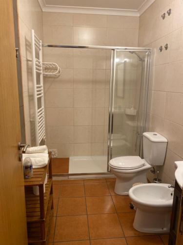 a bathroom with a shower and a toilet and a sink at CASAS NAS TERMAS in Cabeço de Vide