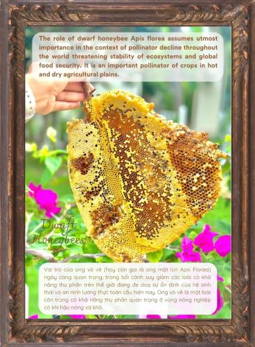 a picture of a butterfly in a picture frame at Paradise Resort Doc Let - All Inclusive in Doc Let