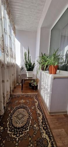 einen Flur mit Topfpflanzen und einem Tisch in einem Zimmer in der Unterkunft Апартаменты на СОВЕТСКОЙ 39 in Petropawlowsk
