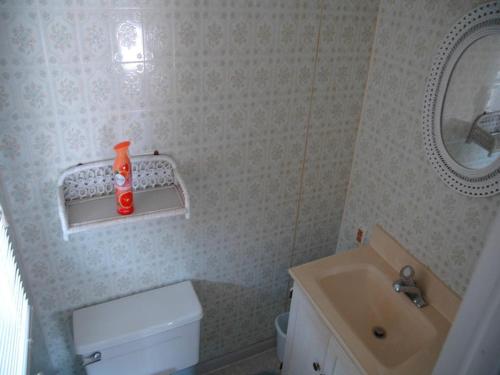a bathroom with a toilet and a sink and a mirror at Nice Home In Brant Beach With 4 Bedrooms And Internet in Brant Beach