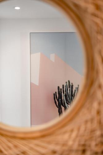 a cactus reflection in a round mirror at 3-bedrooms Villa 5min from Orient Bay in Cul de Sac