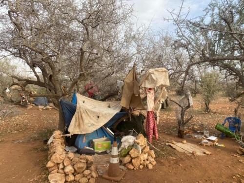 ein Zelt inmitten eines Feldes mit Bäumen in der Unterkunft Pedro's camp in Agadir