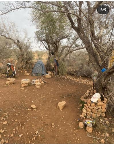 アガディールにあるPedro's campのテントと岩と木が並ぶキャンプ場