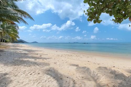 a beach with palm trees and the ocean at Brand New Beachfront & Secluded Tiny House in Koh Samui 