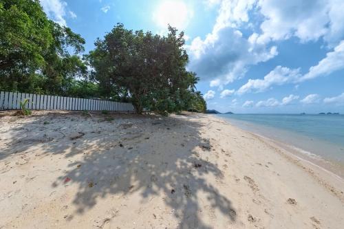 a sandy beach with trees and the ocean at Brand New Beachfront & Secluded Tiny House in Koh Samui 