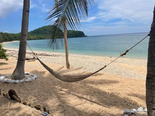 a hammock hanging between two palm trees on a beach at Olivers Binucot Beach House in Romblon