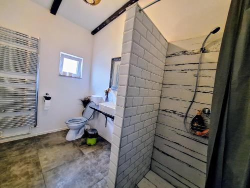 La salle de bains est pourvue d'une douche et de toilettes. dans l'établissement Magic Apartments Hunedoara, à Hunedoara