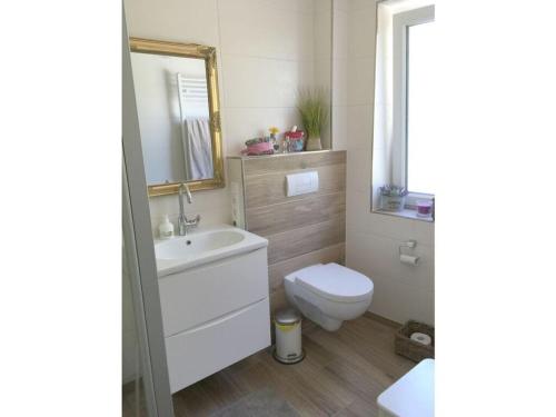 a bathroom with a toilet and a sink and a mirror at Nordwind Modern retreat in Norddeich