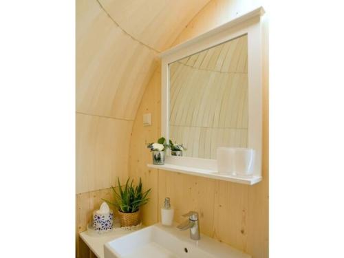 een badkamer met een wastafel en een spiegel bij Chalet Igluhut-Brunner in Zachenberg