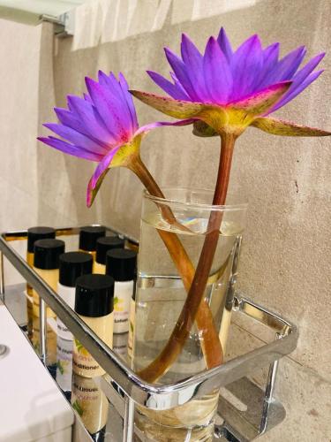 two purple flowers in a glass vase on a shelf at Rangiri Dambulla Resort in Dambulla