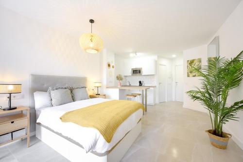 New studio, terrace, parking, and pool by 10ToSea
