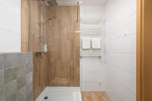 ヴロツワフにあるHubska Apartmentsのバスルーム(シャワー、トイレ付)