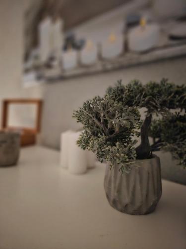 una planta en un jarrón sentado en una mesa en Hotel Wellness&Spa Astorya Banja Luka en Banja Luka