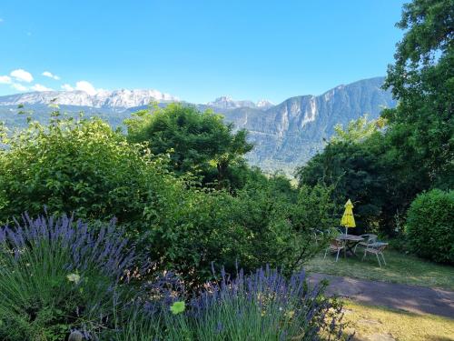 a garden with a picnic table and mountains in the background at Hotel Bellevue in Ayse