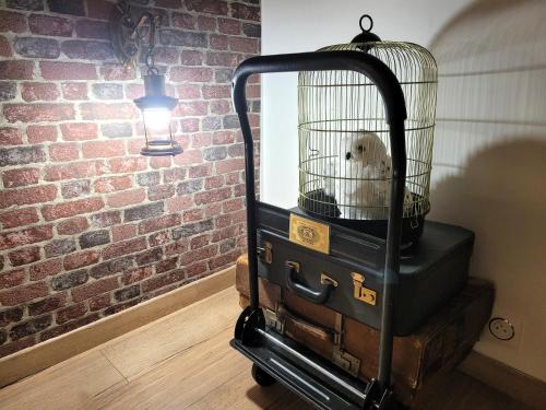 einen Vogelkäfig mit einem weißen Hund darin in der Unterkunft La demeure des maraudeurs -10min Disney-Jardin & BBQ in Villiers-sur-Morin