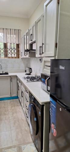 a kitchen with a dishwasher and a washer at A Cozy Luxury Hideout in North Ridge, Accra, 1BDRM - 2BDRM, 15 mins from Airport in Accra