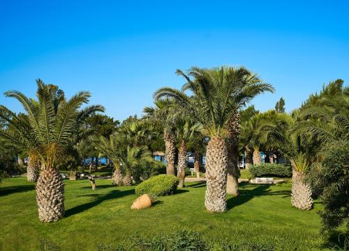 a group of palm trees in a park at Mark Warner Phokaia Beach Resort in Foca
