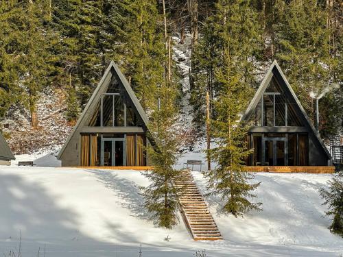 Ilʼtsya Gurny的住宿－Ultra house，雪中带楼梯的房子