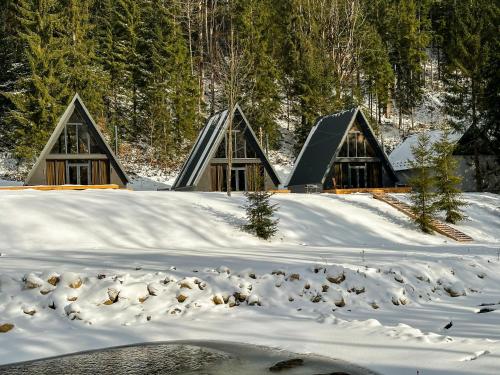 Ultra house en invierno