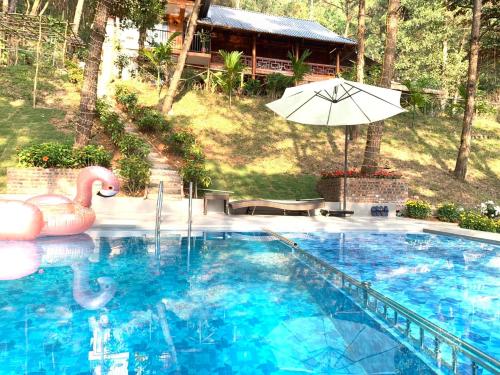 a swimming pool with two swans and an umbrella at Chou An Hideaway in Hanoi
