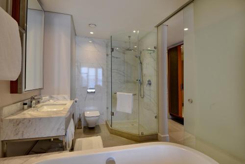 a bathroom with a shower and a sink and a toilet at Houghton Suites in Johannesburg