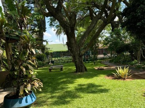 a park with a tree and a bench in the grass at Dula Monate Holiday Flats in Bela-Bela
