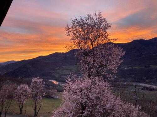 a tree in a field with a sunset in the background at Casa nella natura a Bobbio in Bobbio