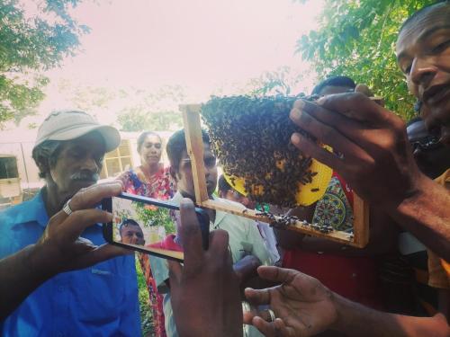 un grupo de personas tomando fotos de un abejorro en Ranger's Cottage, en Ambawela
