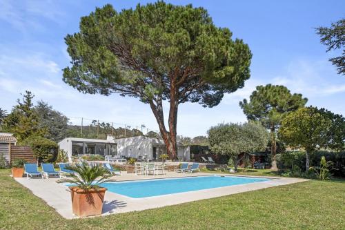 - une piscine dans une cour avec un arbre dans l'établissement Villa Artemis avec piscine Grimaud, à Grimaud