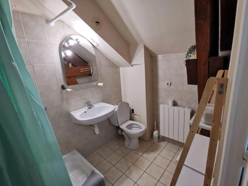 une petite salle de bain avec toilettes et lavabo dans l'établissement Le cozy, à Sartrouville