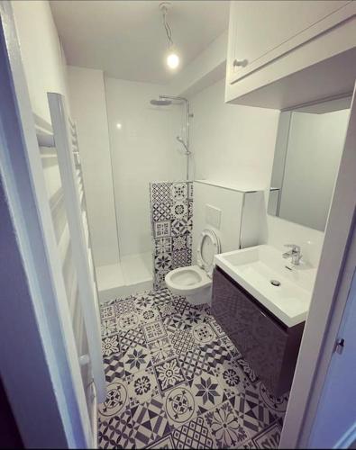 une salle de bain avec des toilettes blanches et un lavabo dans l'établissement 22 COEUR DE VIENNE, à Vienne