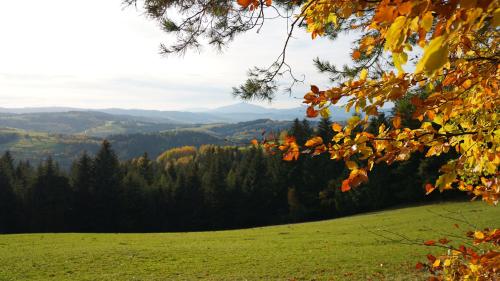 una vista desde la cima de una colina con árboles en Między Wierchami, en Ponice