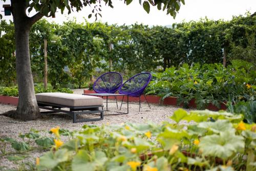 two blue chairs and a bench in a garden at Vigne di Fagnano 1709 Eco Relais in Santo Stefano Belbo