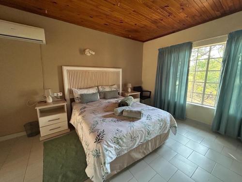 Bushveld Symphony Holiday Home في مارلوث بارك: غرفة نوم بسرير كبير مع ستائر زرقاء