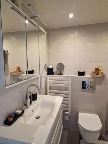 Appartement de standing au centre de Genève