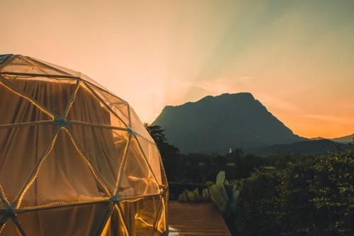 a clear dome tent with a mountain in the background at The CAMPIAN in Chiang Mai