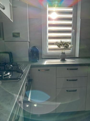 a kitchen with a window with a plant on the counter at Cozy Holidays in Center of Suceava Esplanada in Suceava