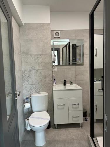 a bathroom with a toilet and a sink and a mirror at Cozy Holidays in Center of Suceava Esplanada in Suceava